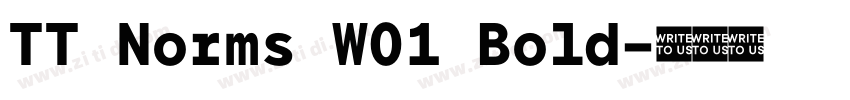 TT Norms W01 Bold字体转换 TT Norms W01 Bold字体转换